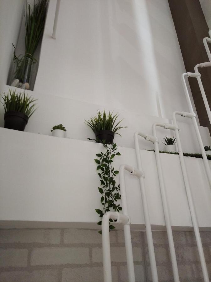 דירות בארי Mattia'S House 2 מראה חיצוני תמונה